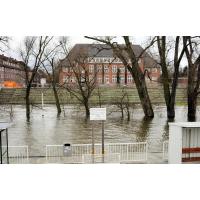 10899_0745 Hochwasser beim Finkenwerder Anleger - Bäume im Wasser. | Hochwasser in Hamburg - Sturmflut.